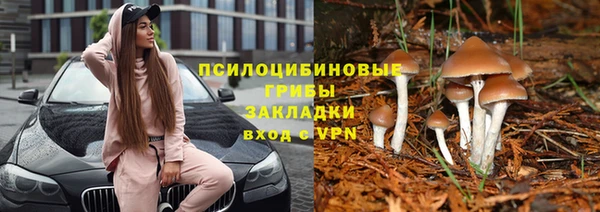 mdpv Арсеньев
