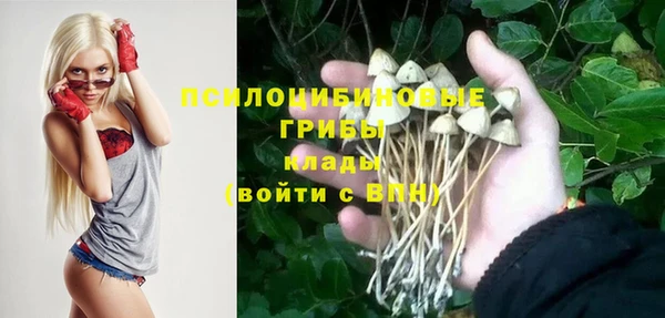 mdpv Арсеньев